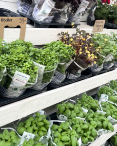 Vikentomater | Blandade färska kryddor