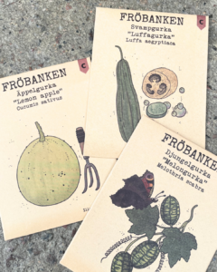 Vikentomater - fröpåsar