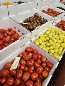 Vikentomater - härligt närproducerat utbud